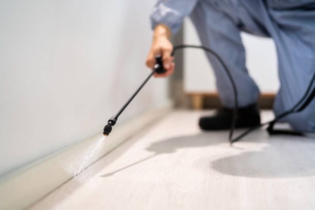 Licensed Termite Control service in Forest, MS - Nex Pest Control