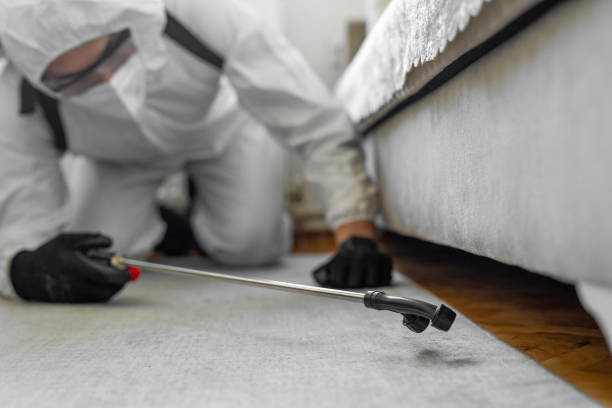 Professional Termite Control technician working in Forest, MS