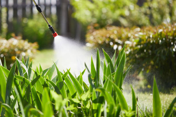 24/7 Emergency Termite Control experts in Forest, MS