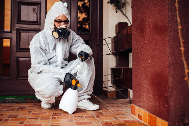 Reliable Termite Control contractor in Forest, MS by Nex Pest Control